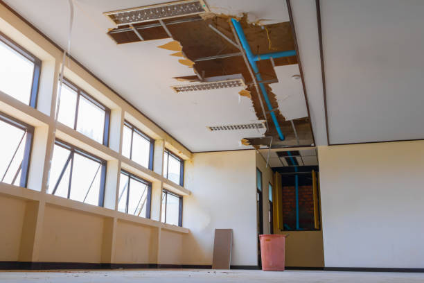 Best Fire Damage Restoration  in Miramar, FL