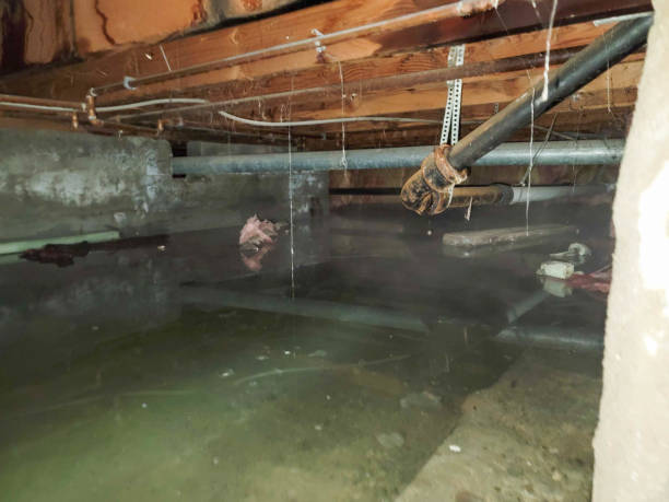 Professional Water damage restoration in Miramar, FL