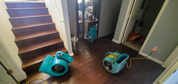 Best Emergency water damage restoration  in Miramar, FL