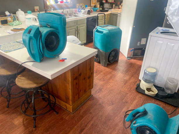  Miramar, FL Water damage restoration Pros
