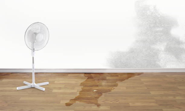 Best Water damage restoration near me  in Miramar, FL