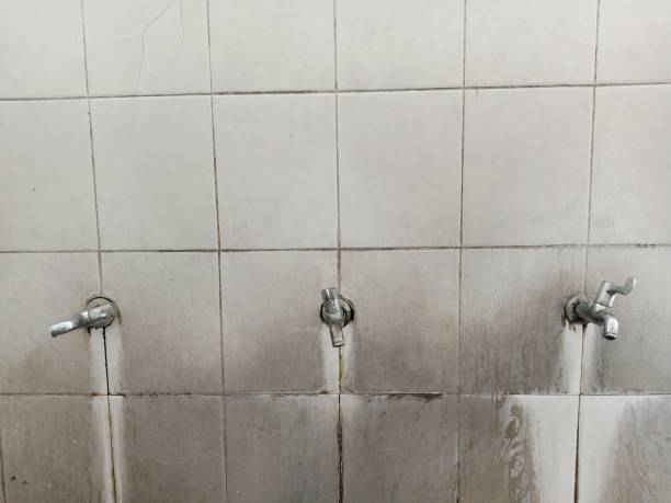 Best Carpet water damage restoration  in Miramar, FL