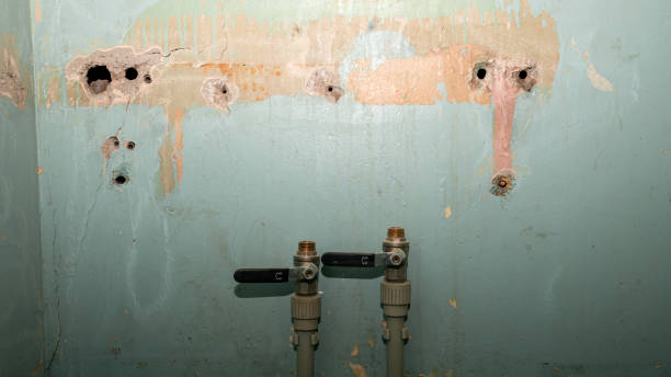 Best Residential water damage restoration  in Miramar, FL